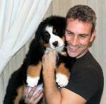 Bernese Bella
